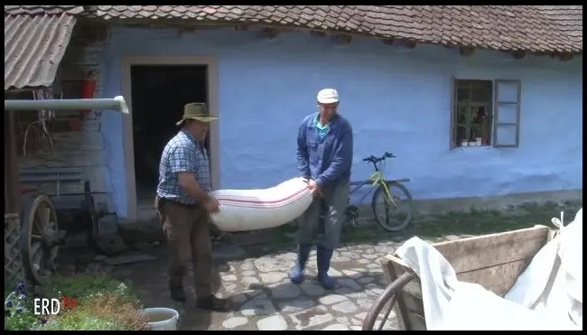 Grinding, grain grinding in the water mill in Bățanii Mici