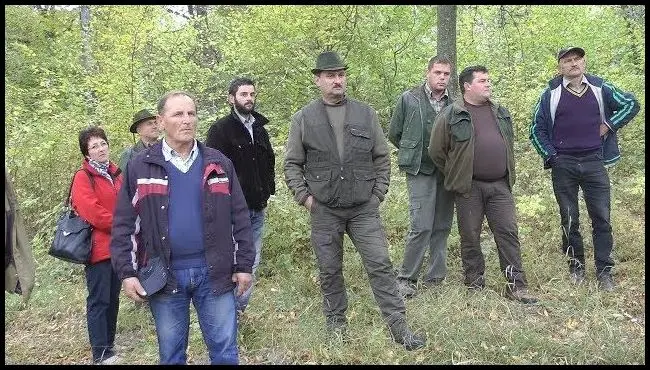 Gospodărirea pădurilor la Silvicultură Privată Baraolt