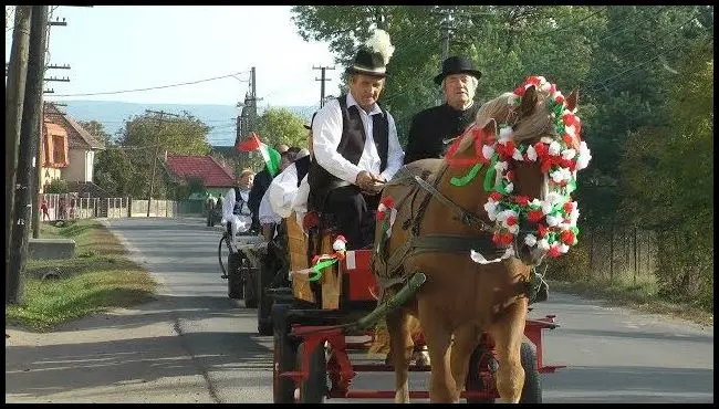 Harvest fun for pensioners from Vârghiș